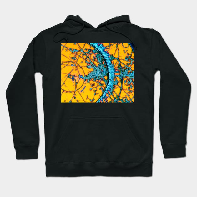 Particle tracks in bubble chamber (A138/0095) Hoodie by SciencePhoto